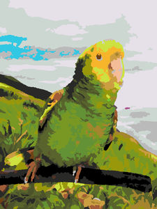 Painting20120222-2419-vzlhlm-020120222-28318-4cvww3-0