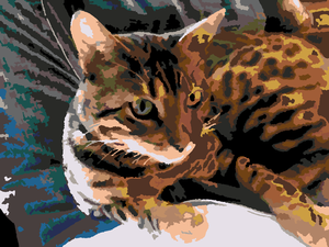 Scratchpad2newcolor20120306-12120-vtlokk-020120306-29058-1ulj56y-020120306-12120-24a0s5-020120306-29058-4swwvh-0