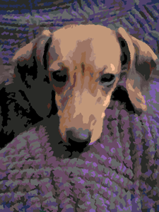 Scratchpad2newcolor20120314-21483-1bhcdk1-020120314-32182-hte93q-0
