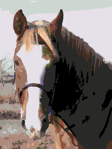 Painting20120330-8704-1oxk11r-020120330-1462-1rpcbho-0