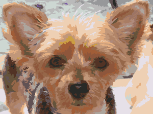 Scratchpad2newcolor20120406-1736-9zublr-020120406-1736-1bb02uj-0