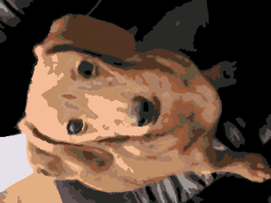 Scratchpad2newcolor20110912-17328-9aaayy-020110912-27277-xjqo2-0